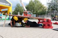 IMG_9847 (Large)